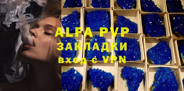 apvp Алзамай