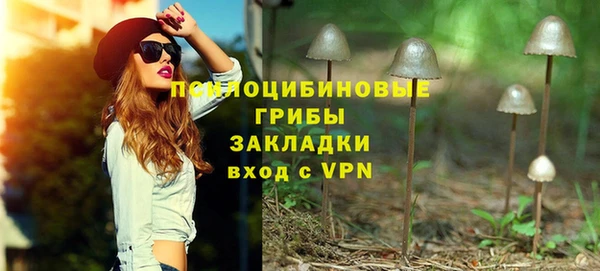 apvp Алзамай
