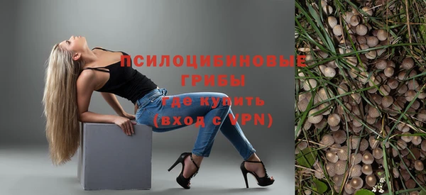 apvp Алзамай
