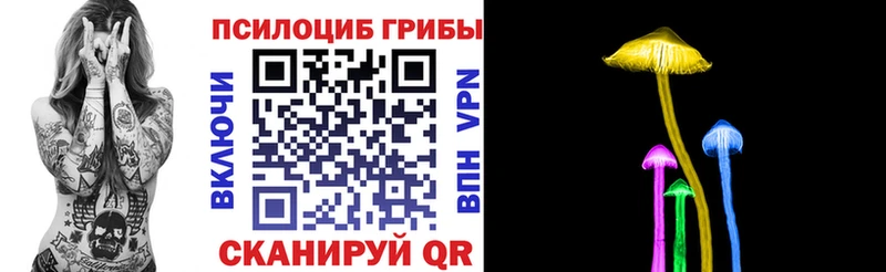 Псилоцибиновые грибы мицелий  Евпатория 